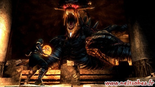 Test - Demon's Souls (PS3)