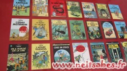 Achat - Collection Tintin en DVD
