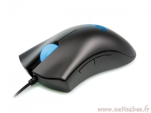 Mais quelle souris choisir ?