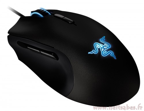 Mais quelle souris choisir ?