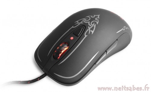Mais quelle souris choisir ?