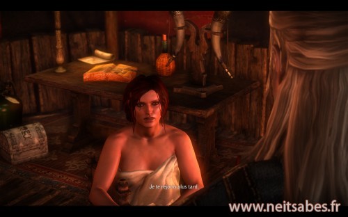 Test - The Witcher 2 (PC)