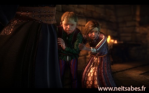 Test - The Witcher 2 (PC)