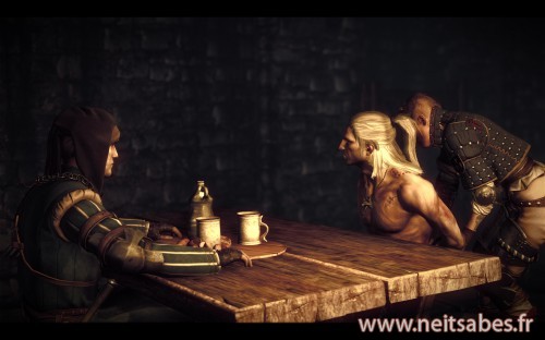 Test - The Witcher 2 (PC)
