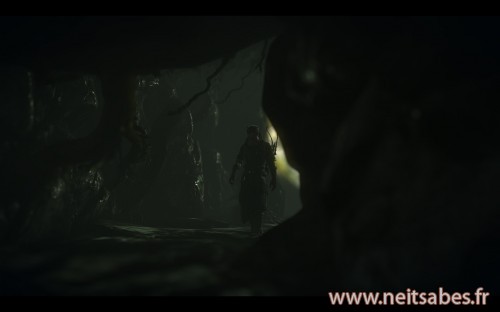 Test - The Witcher 2 (PC)