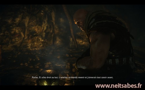 Test - The Witcher 2 (PC)