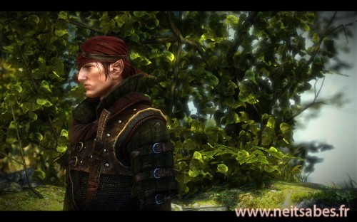 Test - The Witcher 2 (PC)