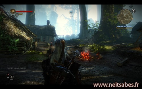 Test - The Witcher 2 (PC)