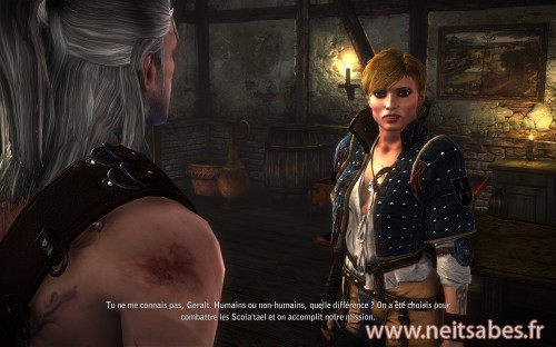 Test - The Witcher 2 (PC)