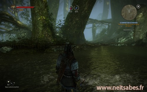 Test - The Witcher 2 (PC)