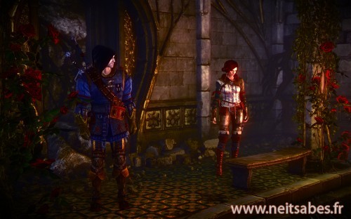 Test - The Witcher 2 (PC)