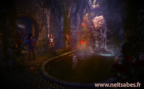Test - The Witcher 2 (PC)
