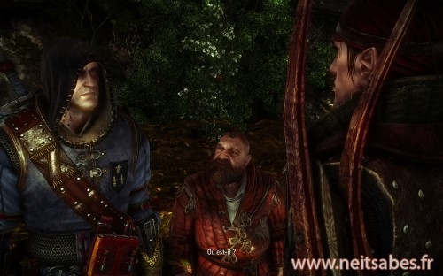 Test - The Witcher 2 (PC)