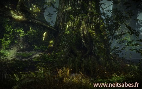 Test - The Witcher 2 (PC)
