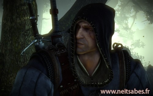 Test - The Witcher 2 (PC)