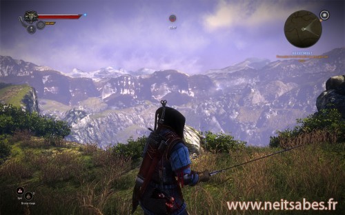 Test - The Witcher 2 (PC)
