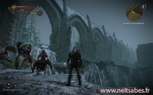 Test - The Witcher 2 (PC)