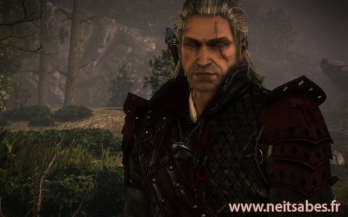 Test - The Witcher 2 (PC)