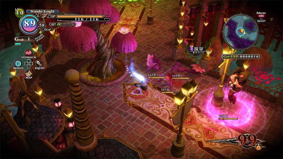 Aperçu de The Witch and the Hundred Knight (PS3)